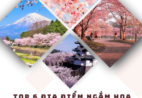 TOP 6 ĐỊA ĐIỂM NGẮM HOA ANH ĐÀO ĐẸP NHẤT NHẬT BẢN 2025 - BẠN ĐÃ BIẾT CHƯA